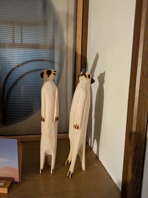 ミーアキャット