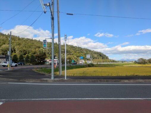 稲刈り前
